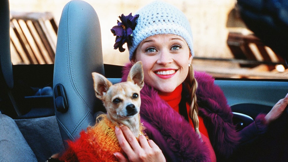 'Legally Blonde' (2001)