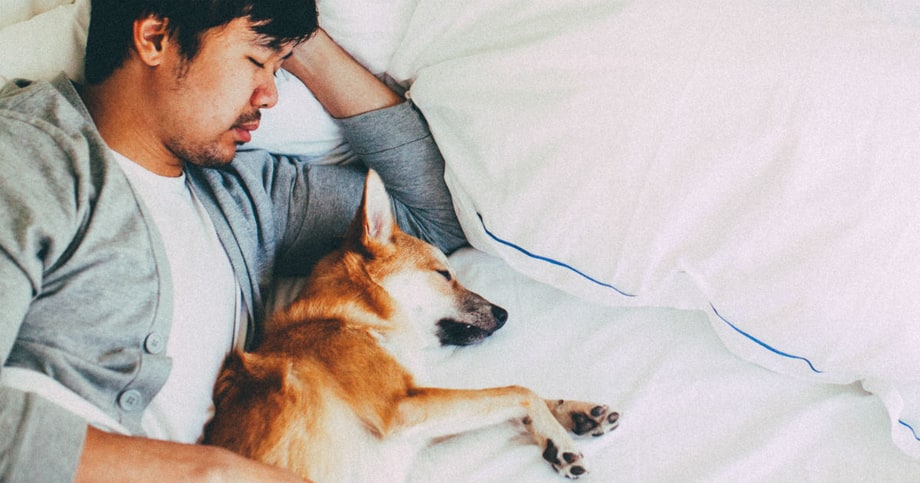 11 Products to Help You Get a Better Night's Sleep