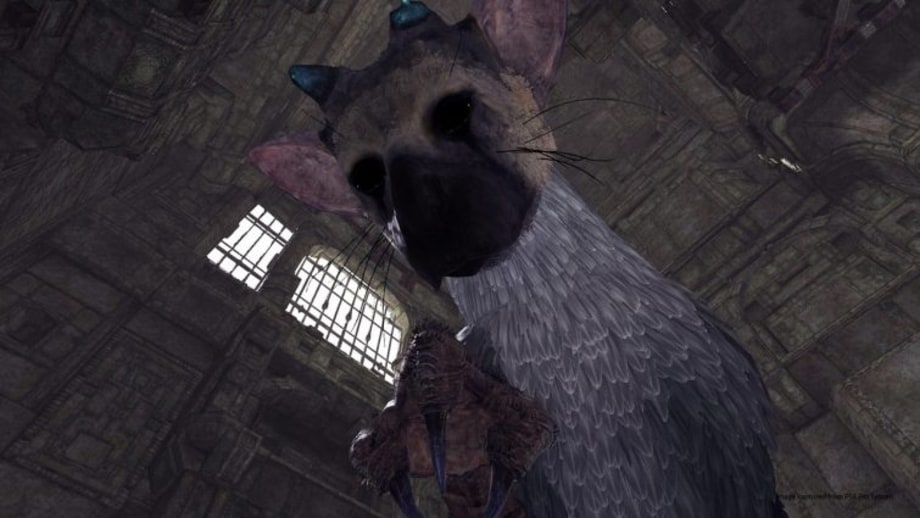 'The Last Guardian VR'