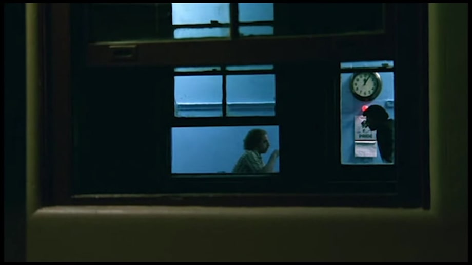 The Thin Blue Line (1988)