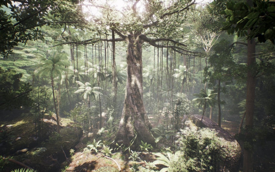 Tree (A VR Experience)