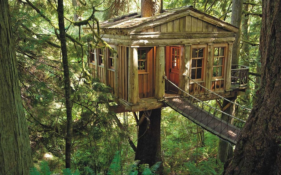 Sun 11/20: Treehouse Master (Animal Planet)