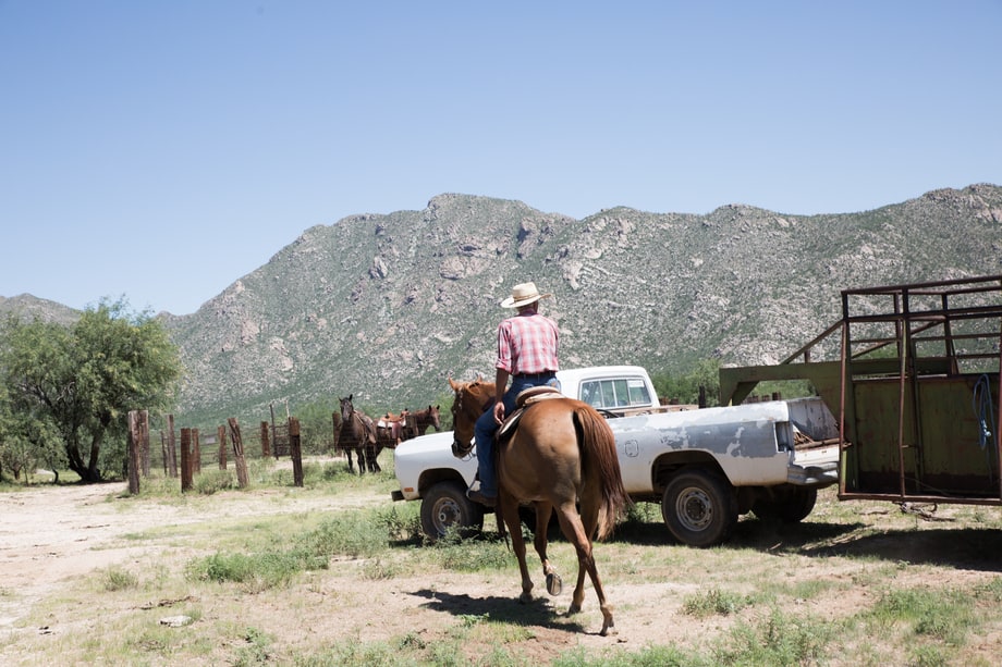 Meet Tucson's Ranchers and Rodeo Elite