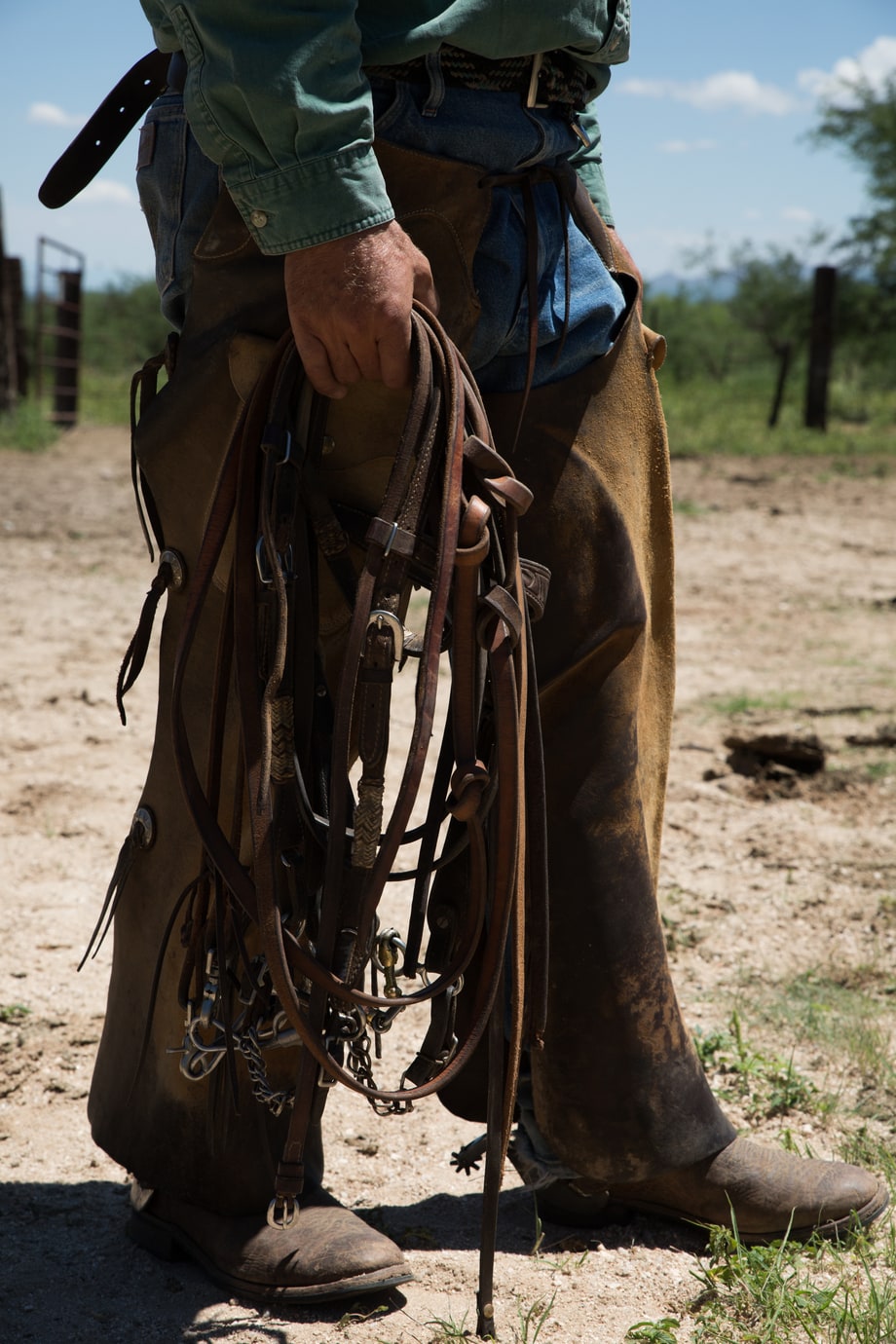 Bridles and Reins