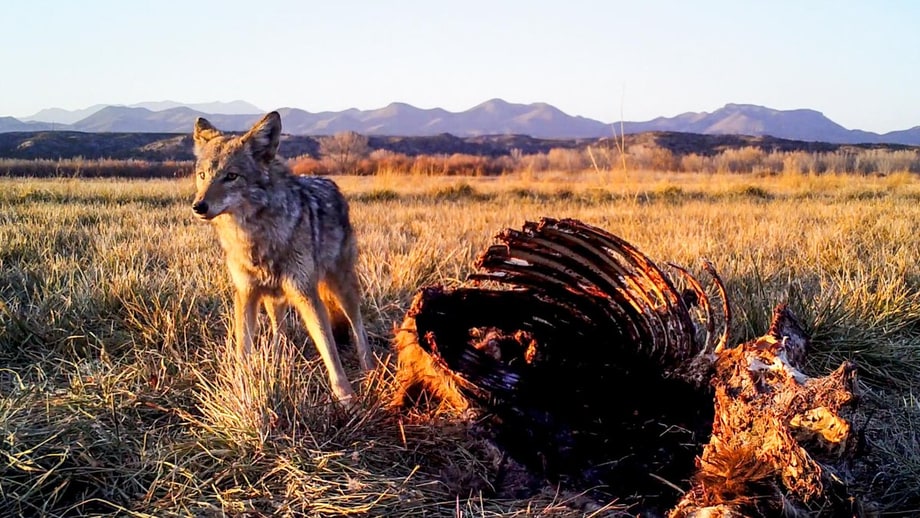 Mon 7/3: The Wild West (Nat Geo)