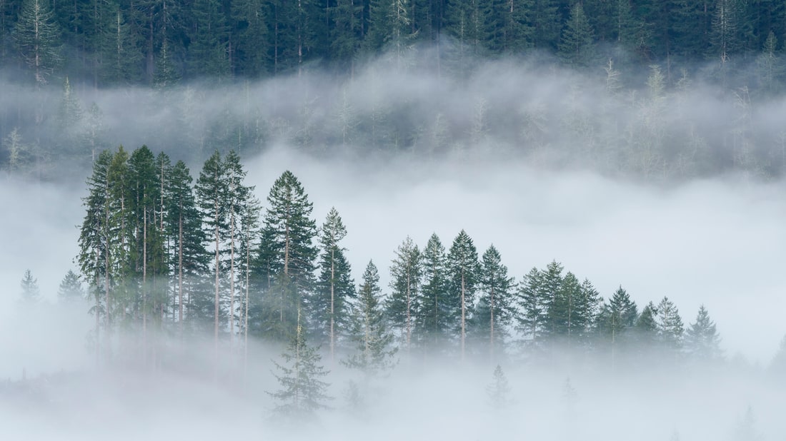 Outdoor Retailer Seeks a New Home After Utah Governor Clashes with Industry Over Public Lands, Bears Ears National Monument Outdoor Retailer Seeks a New Home After Utah Governor Clashes with Industry Over Public Lands, Bears Ears National Monument new pics Outdoor Retailer Seeks a New Home After Utah Governor Clashes with Industry Over Public Lands, Bears Ears National Monument Outdoor Retailer Seeks a New Home After Utah Governor Clashes with Industry Over Public Lands, Bears Ears National Monument new picture