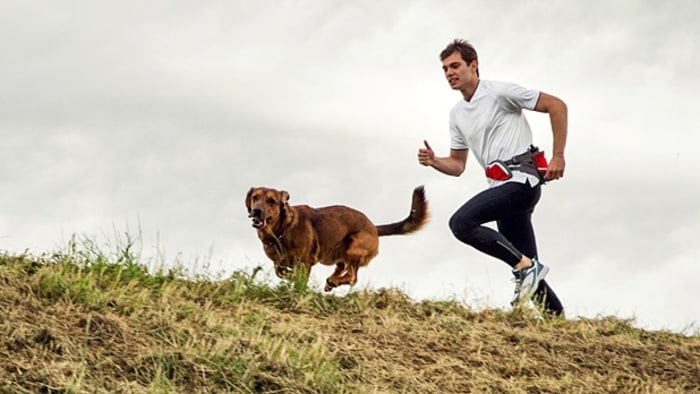Image result for run with dog