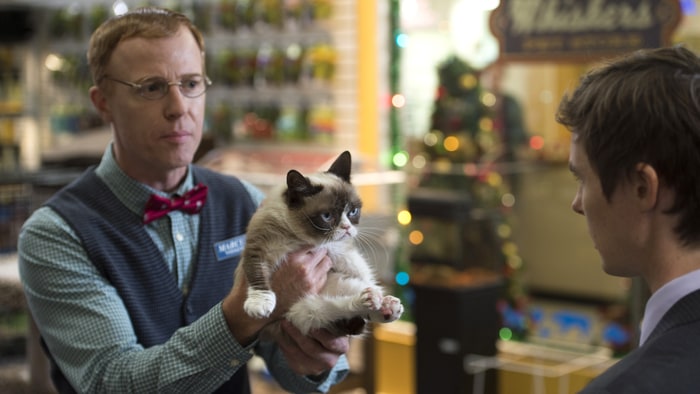 grumpy cats worst christmas ever full movie scum frog pro series grumpy cat worst christmas ever full movie