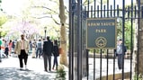 Beastie Boys Set Anti-Hate Rally After Swastikas Found in Adam Yauch Park