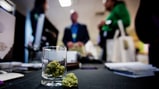 Can Oakland Help Solve the Weed Industry's Diversity Problem?