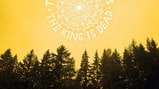New Album Reviews: The Decemberists, Gregg Allman, Smith Westerns