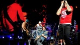 The Red Hot Chili Peppers