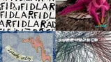 27 Best Albums You Didn't Hear in 2013