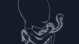 Sigur Ros, 'Ágætis Byrjun'