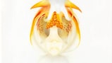 Kings of Leon, 'Aha Shake Heartbreak'