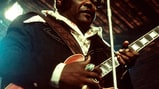 Freddy King