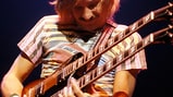 Joe Walsh