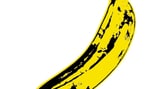 The Velvet Underground and Nico, 'The Velvet Underground'
