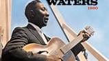 Muddy Waters, 'At Newport 1960'