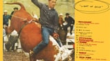 Parquet Courts, 'Light Up Gold'