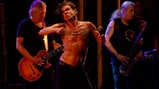 Iggy and the Stooges Face Uncertain Future