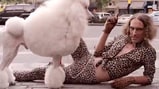 Hello, Ladies! Hammered Satin Premiere 'Foxy Dude' Video