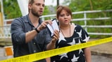 'Under the Dome' Renewed for Second Season