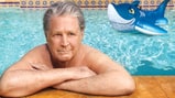 Brian Wilson's Better Days