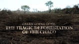 Green Going Gone: The Tragic Deforestation of the Chaco