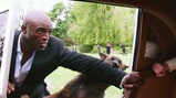 Watch Seal Fight Off Wolves in Exclusive 'Popstar' Clip