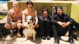 Red Hot Chili Peppers Talk Risky Danger Mouse-Inspired Reboot