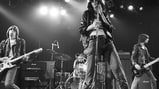 The Ramones Are Punks and Will Beat You Up
