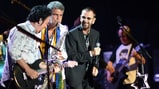Ringo Starr and His All-Starr Band Plot Fall U.S. Tour