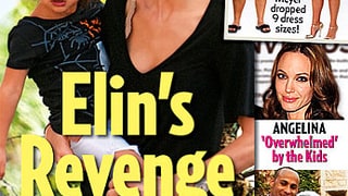 Elin's Revenge