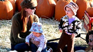 Marcia Cross