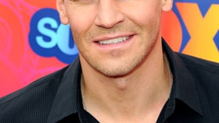 David Boreanaz