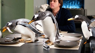 Mr. Popper's Penguins (June 17)
