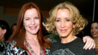 Desperate Housewives Stars