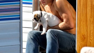 Must Love Dogs