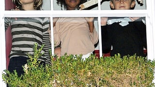 Shiloh, Zahara, Kingston