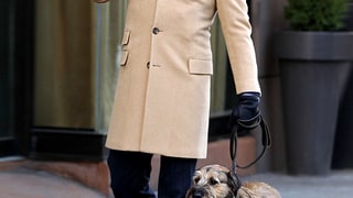 Chuck and His Mutt