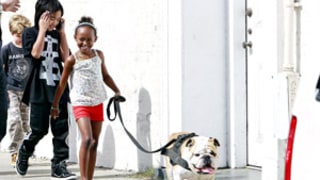 Awww! Jolie-Pitt Kids Walk Pet Bulldog, Jacques