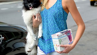 Pretty Pooch