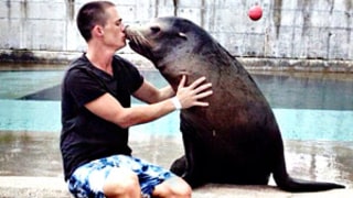 Colton Haynes Kisses a Seal, Swims With a Dolphin