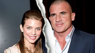 AnnaLynne McCord, 25, and Dominic Purcell, 42, Split After 15 Months