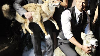 Dances With Wolves