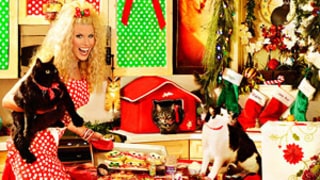 Howard Stern and Beth Ostrosky Stern Share Over-the-Top Christmas Card!