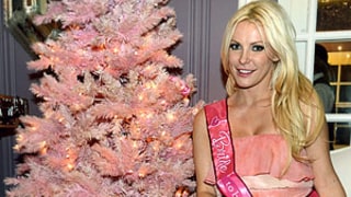 Crystal Harris to Wed Hugh Hefner: Inside Her Bridal Shower -- Pictures