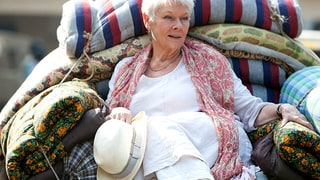 The Best Exotic Marigold Hotel