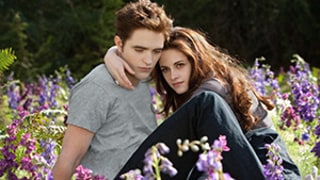 Twilight Saga: Breaking Dawn -- Part 2 Sweeps Razzies for Worst Film, Ensemble and More